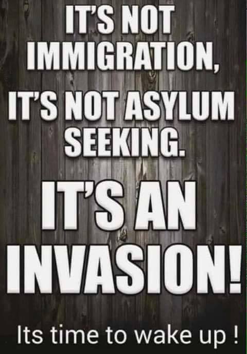 its-not-immigration-its-an-invasion