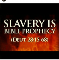 thumb_slavery-is-bible-prophecy-deut-28-15-68-the-nation-of-israel-14983347